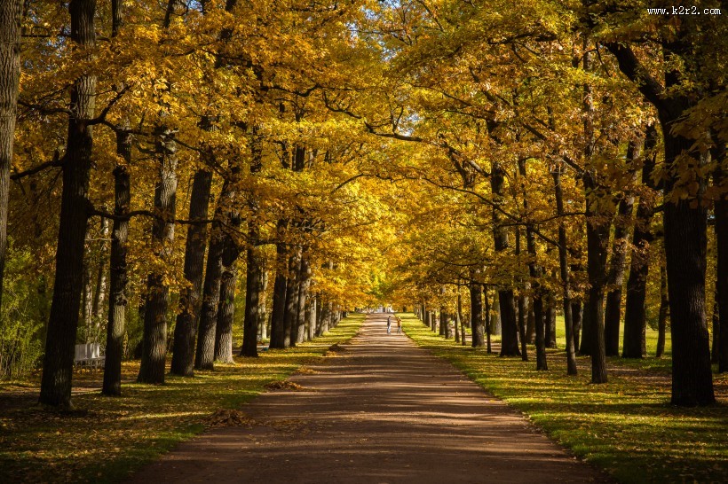 俄罗斯园林园林唯美秋季风景图片