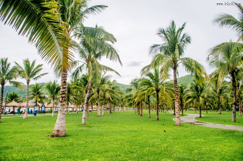 越南芽庄风景图片