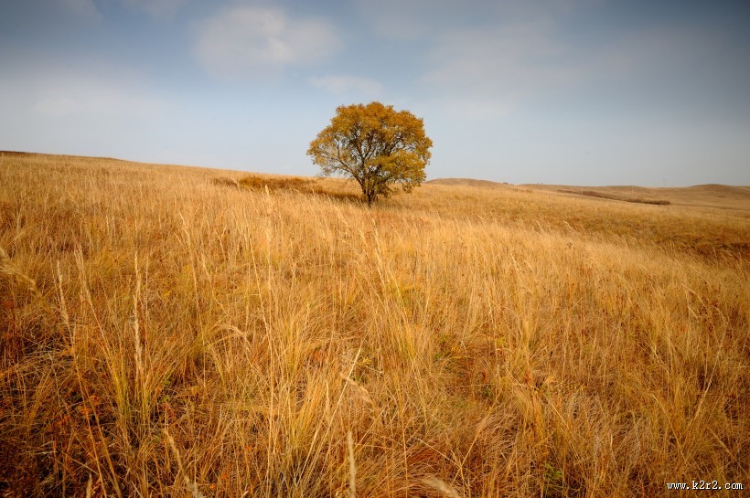 唯美内蒙古坝上草原秋季风景图片