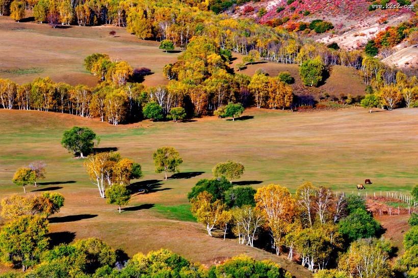 河北张家口坝上唯美秋景图片
