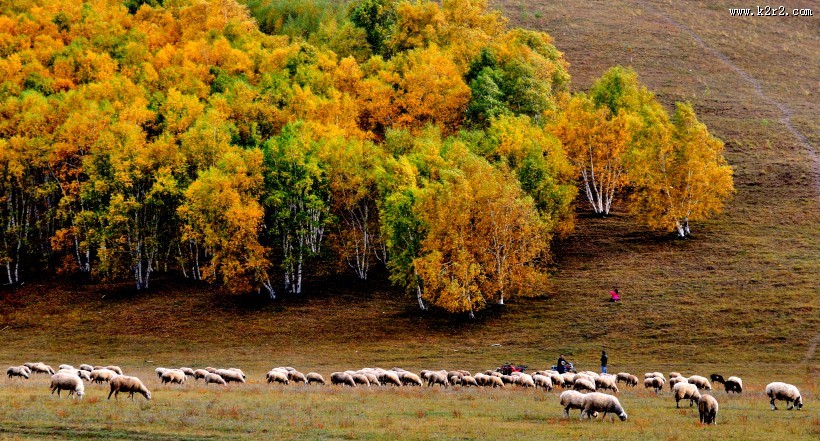 河北张家口坝上唯美秋景图片