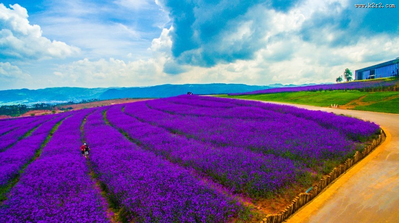 浙江台州航拍弥勒生态山谷风景图片