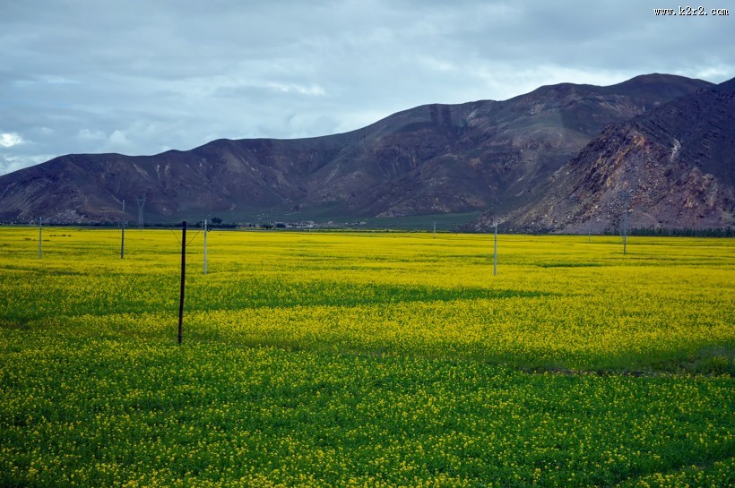 西藏高原自然风景图片