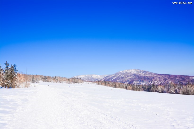 黑龙江雪乡自然风景图片