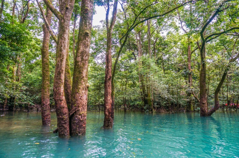 贵州黔南荔波小七孔自然风景图片