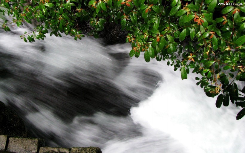 福建武夷山龙川大峡谷自然风景图片