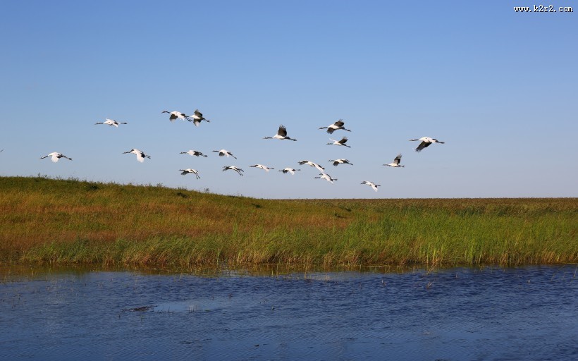 内蒙古呼伦贝尔湖自然风景图片大全