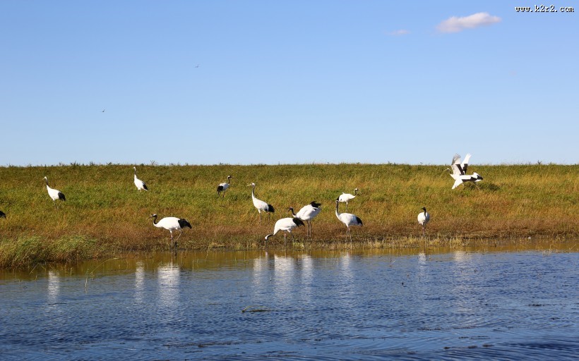 内蒙古呼伦贝尔湖自然风景图片大全