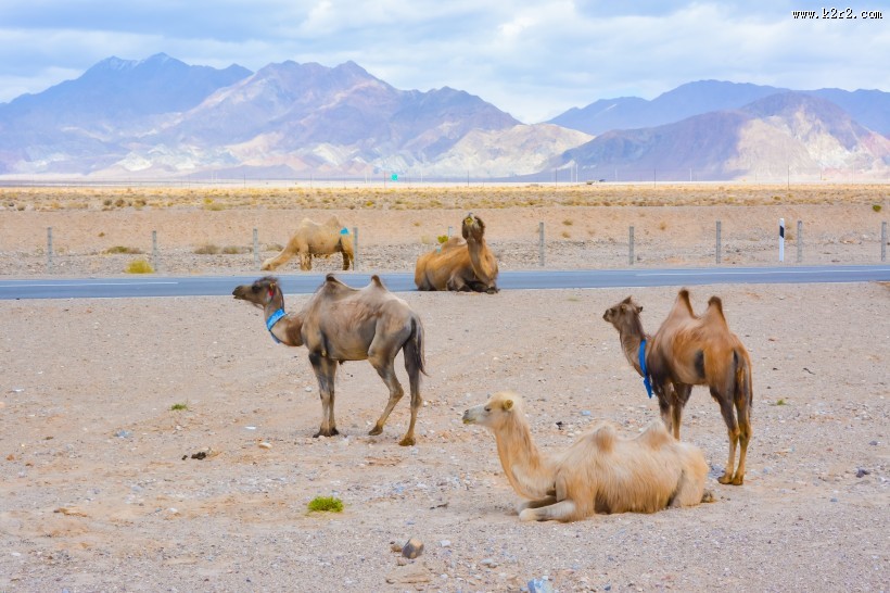 青海茶卡盐湖自然风景图片大全