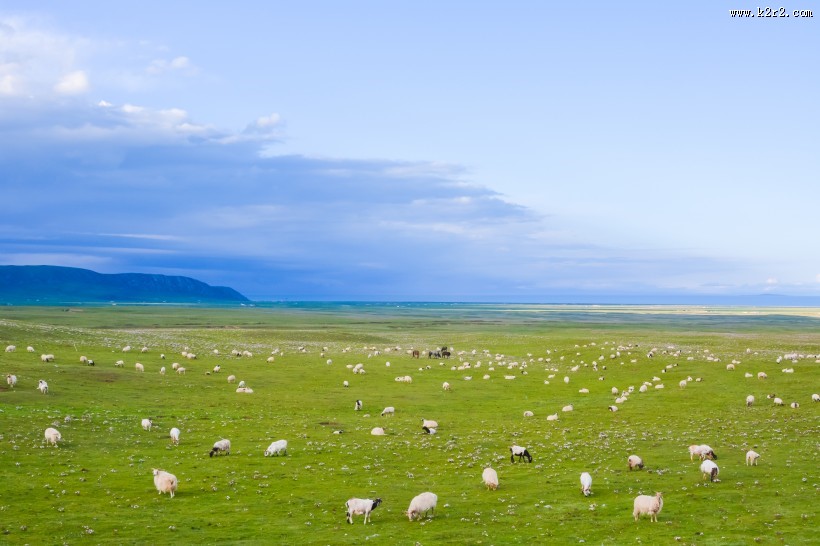 青海茶卡盐湖自然风景图片大全
