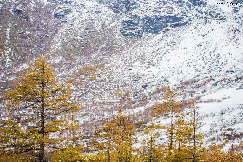 四川稻城亚丁自然风景图片大全