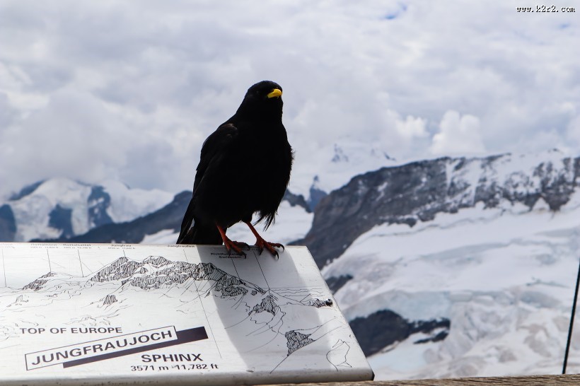 瑞士少女峰自然风景图片