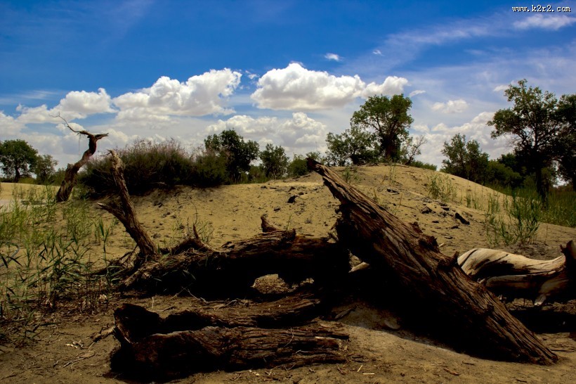 新疆罗布人村寨自然风景图片