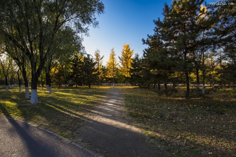 北京奥林匹克森林公园的秋天树林自然风景图片