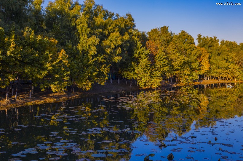 北京奥林匹克森林公园的秋天树林自然风景图片