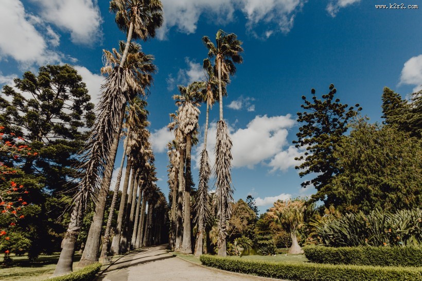 葡萄牙热带植物园的图片大全