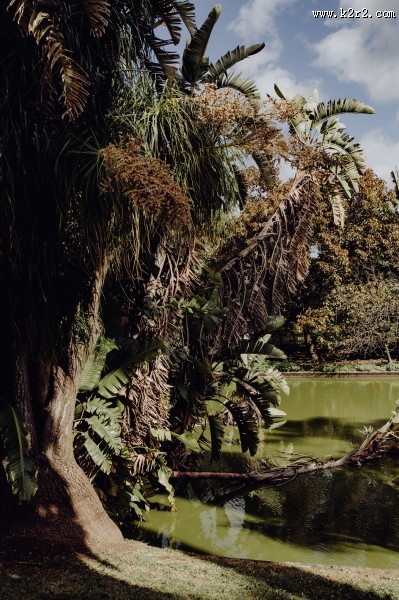 葡萄牙热带植物园的图片大全