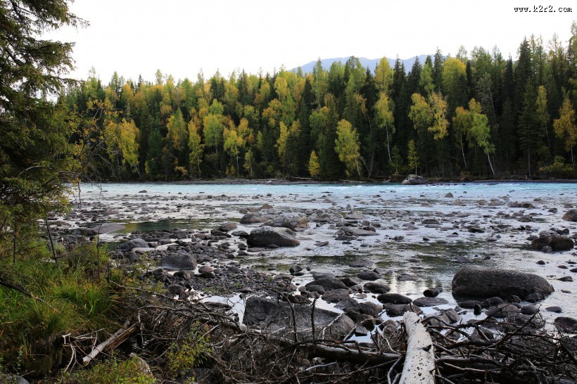 新疆喀纳斯自然风景图片