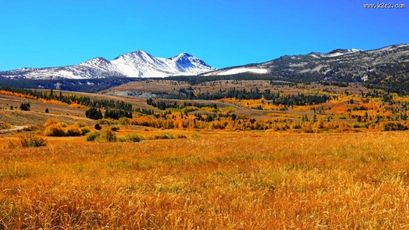 秋天的加利福尼亚州自然风景图片