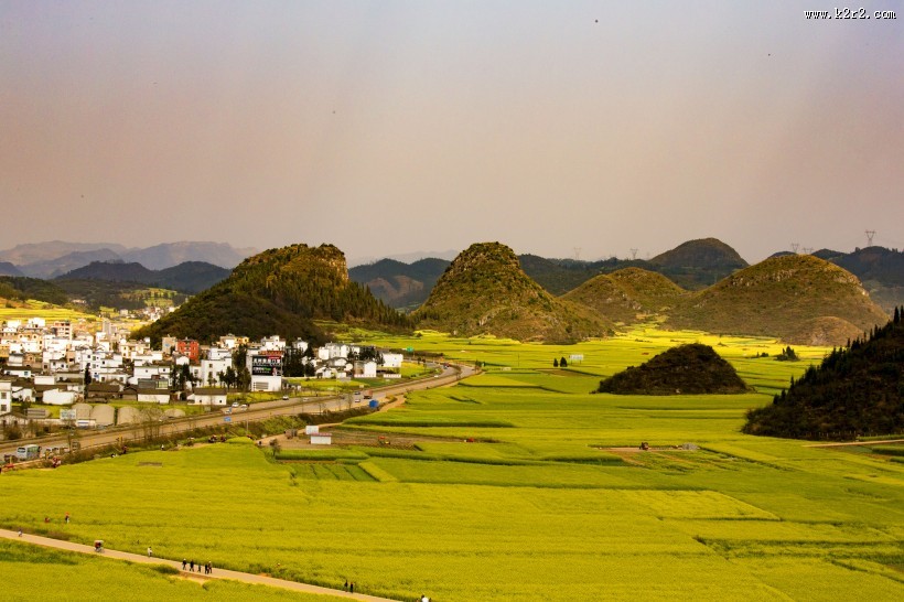 云南罗平油菜花海自然风景图片