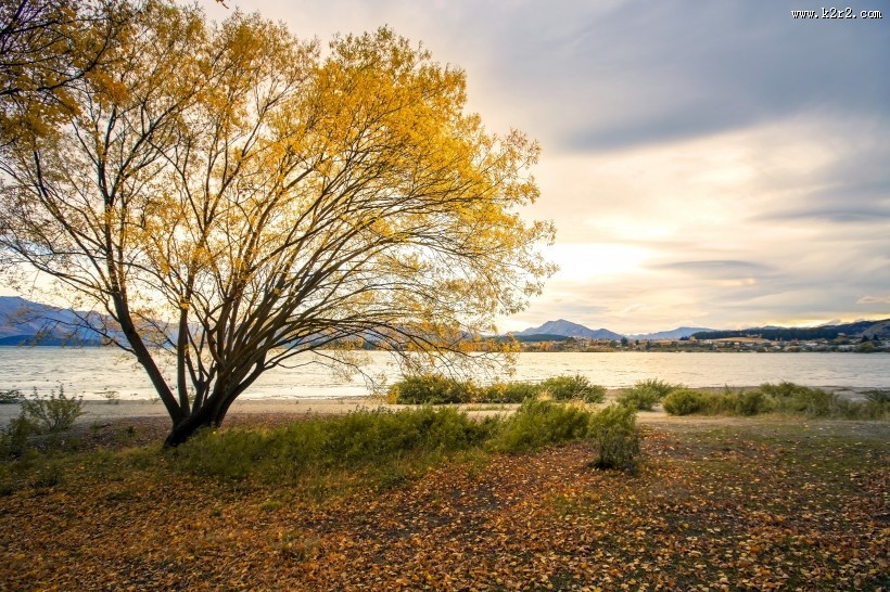 新西兰箭镇秋色无边风景图片
