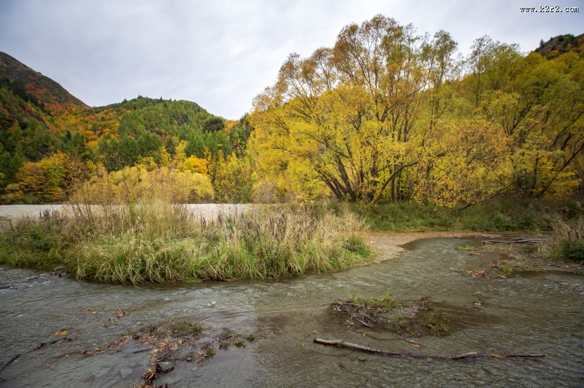 新西兰箭镇秋色无边风景图片