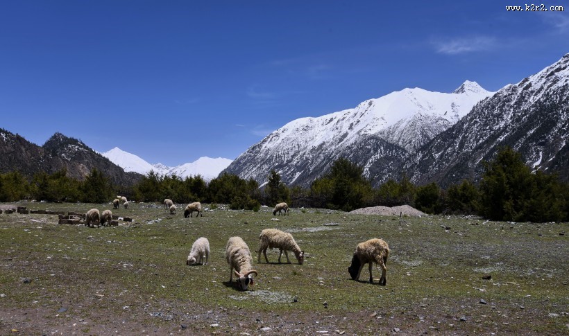 美丽的西藏然乌湖风景图片大全