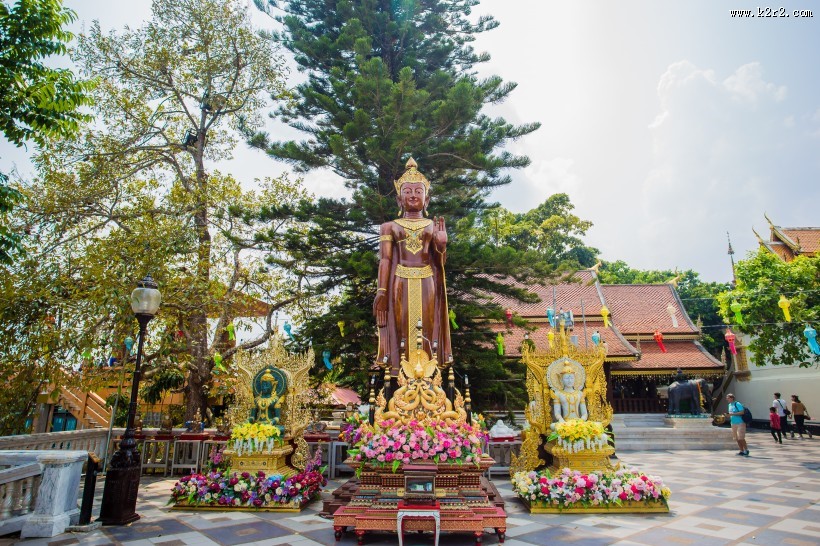 泰国动物园图片