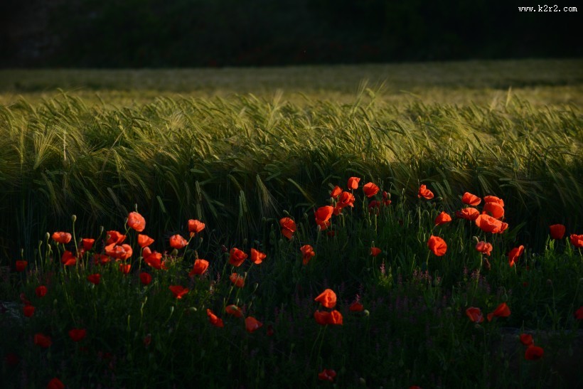 西班牙加泰罗尼亚风景图片大全