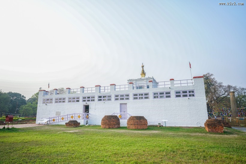 尼泊尔蓝毗尼释迦摩尼诞生地菩提树风景图片