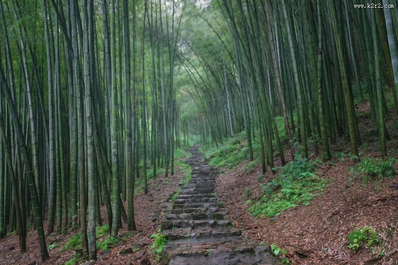 浙江绍兴诸暨五泄景区风景图片