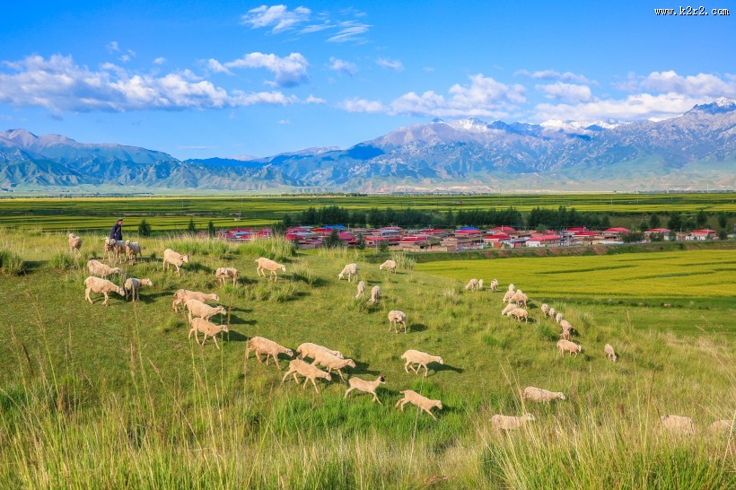 甘肃张掖夏季风景图片