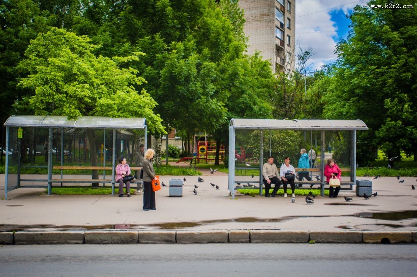 俄罗斯圣彼得堡夏宫建筑风景图片