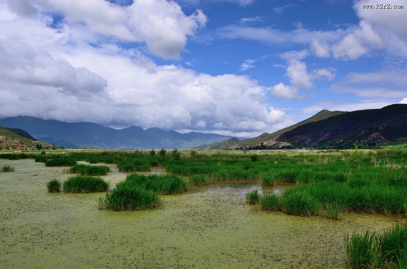 泸沽湖草海风景图片