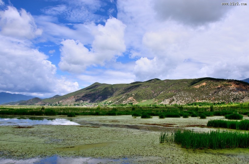 泸沽湖草海风景图片