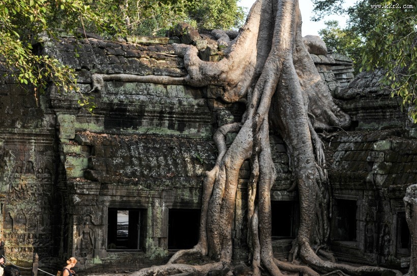 柬埔寨吴哥窟风景图片大全