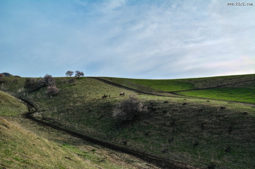 新疆吐尔根杏花沟风景图片