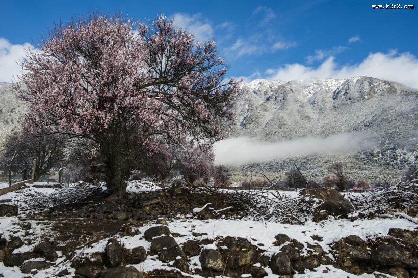 雪后的索松村风景图片
