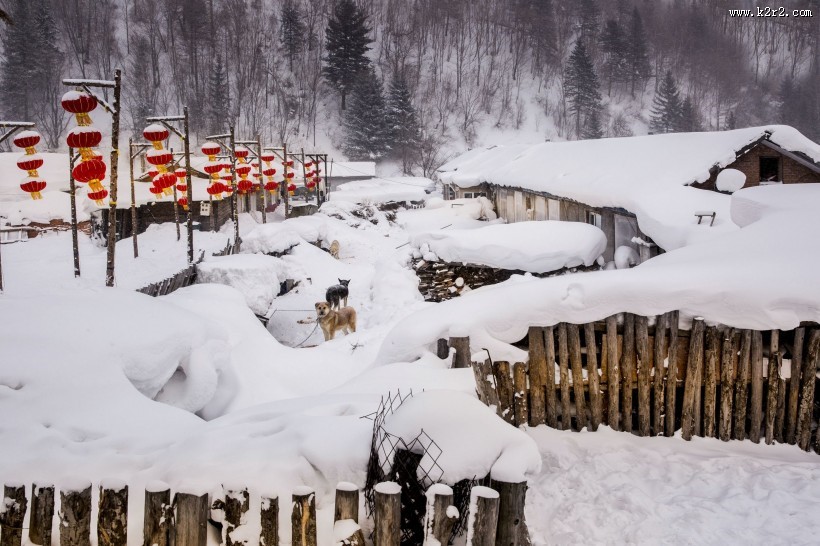 黑龙江雪乡风景图片