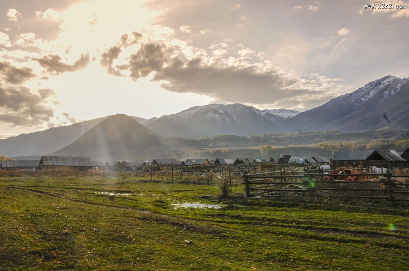 新疆禾木白桦林风景图片