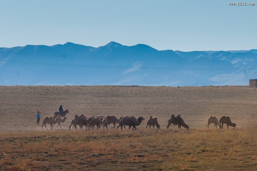 新疆天山牧场风景图片