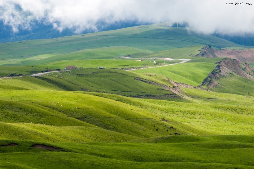 新疆天山牧场风景图片