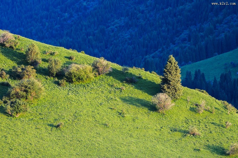 新疆天山牧场风景图片