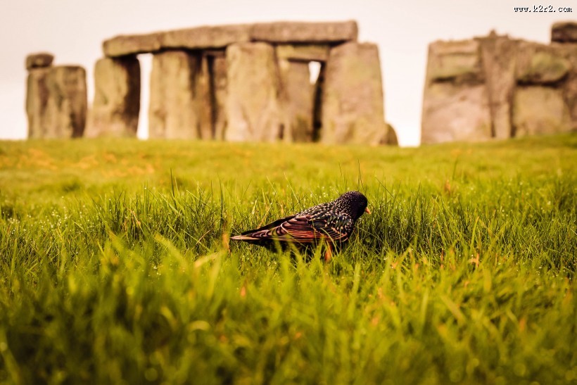 英国巨石阵图片