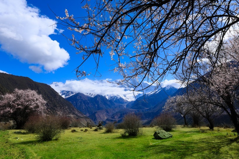 西藏林芝桃花沟风景图片