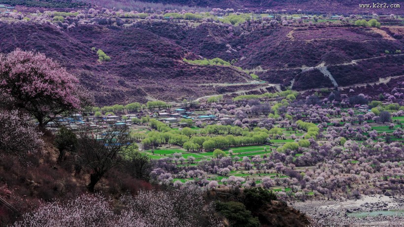西藏林芝桃花沟风景图片