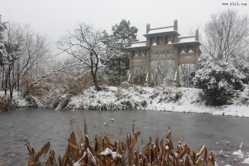 浙江杭州西溪湿地冬季风景图片大全