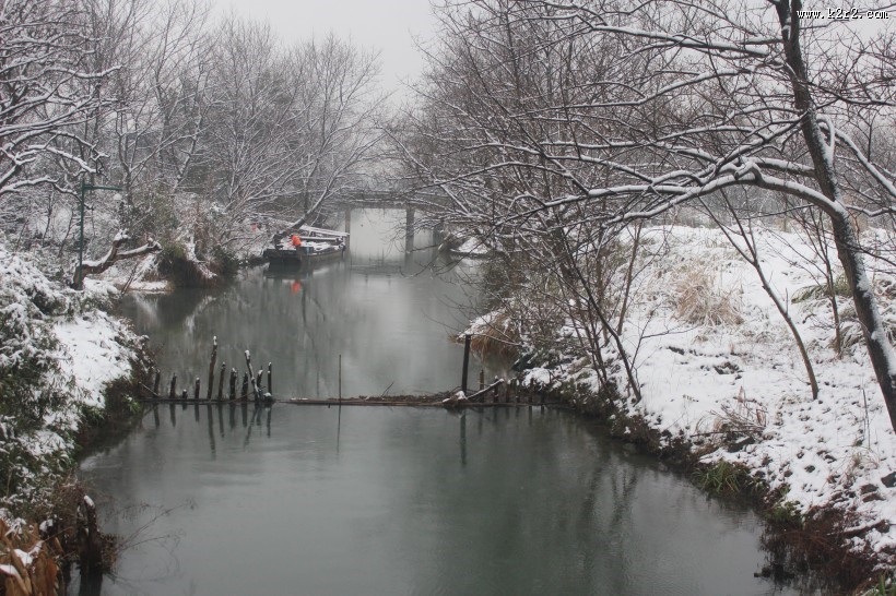 浙江杭州西溪湿地冬季风景图片大全
