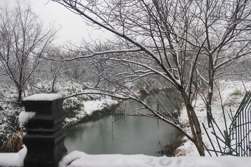 浙江杭州西溪湿地冬季风景图片大全