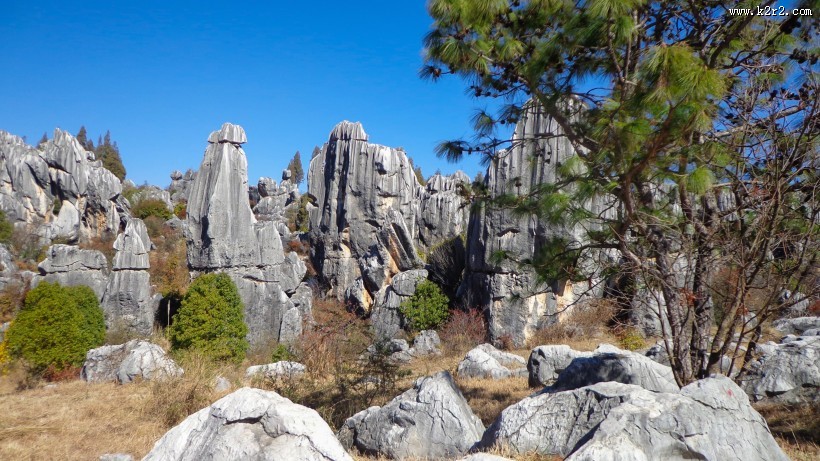 云南石林风景图片